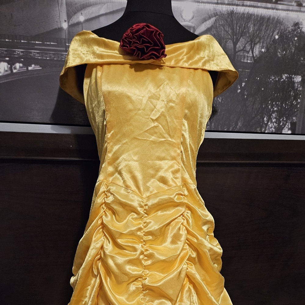 Beauty and the Beast Belle costume